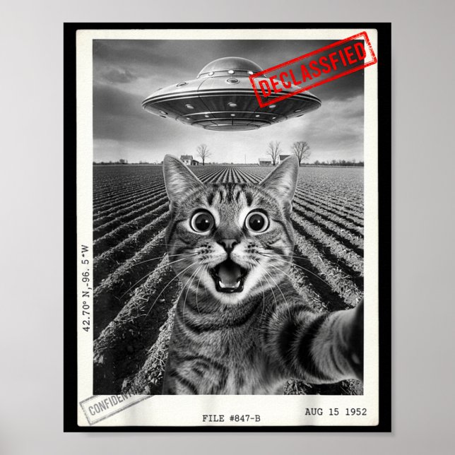 Póster Cat Selfie Ufo Alien Funny Surprised Cat Meme Men  (Frente)