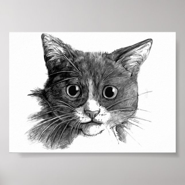 Póster Cat Sketch (Frente)