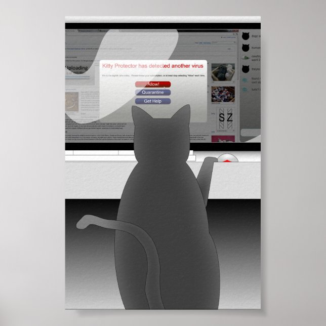 Póster cat-surfing-2011 (Frente)