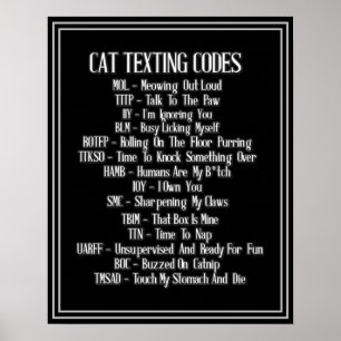Póster Cat Texting Codes Humor