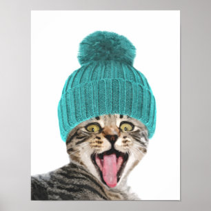Póster Cat with cap cute animal portrait