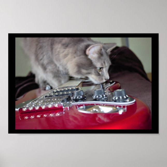 Póster Cat with Red Electric Guitar (Frente)
