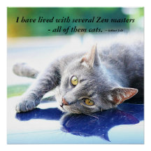 Cat Zen Master