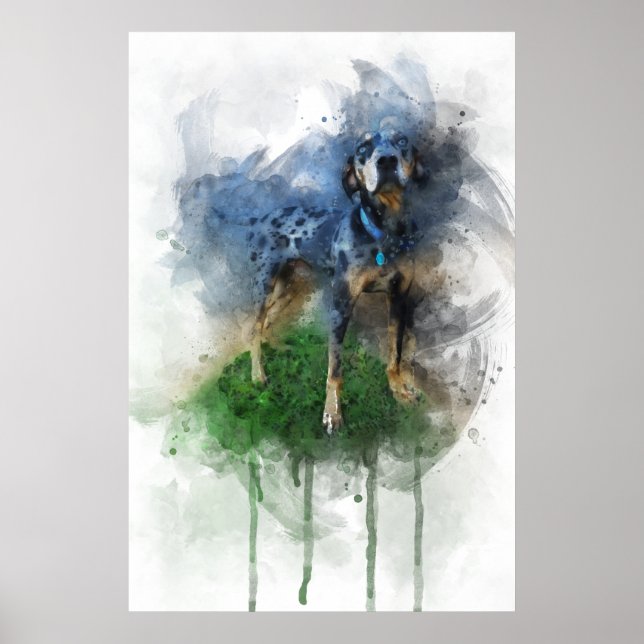 Póster Catahoula del leopardo azul en acuarela (Frente)