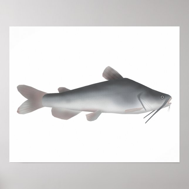 Póster Catálogo blanco (Frente)