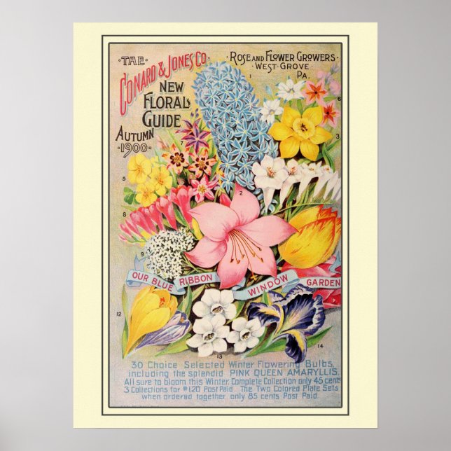 Póster Catálogo de semillas de flores de jardinería de ép (Frente)