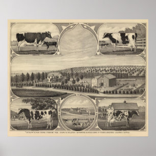 Póster Catalpa, Nebraska