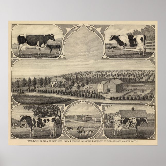 Póster Catalpa, Nebraska (Frente)