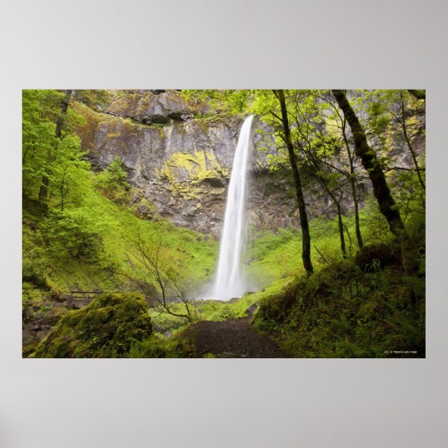 Póster Catarata borrosa alrededor de exuberante vegetació (Frente)