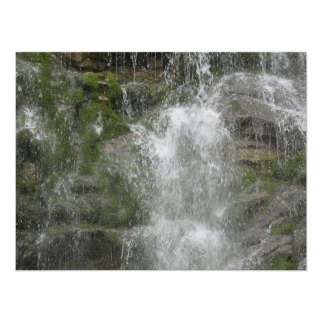 Póster Catarata La Chute en el Parque Nacional Forillon   (Anverso)