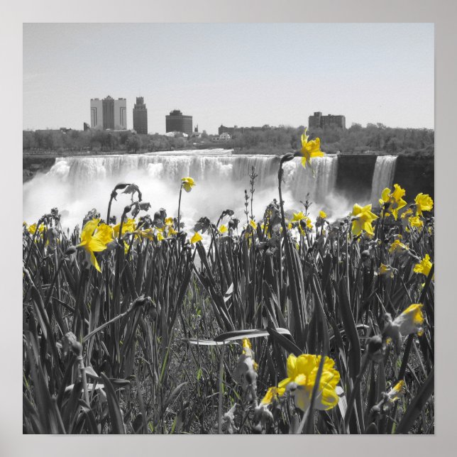 Póster Cataratas (Frente)