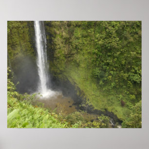 Póster Cataratas de Akaka, costa de Hamakua, isla de Hawa