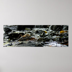 Póster Cataratas de bonos - Península superior