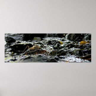 Póster Cataratas de bonos - Península superior