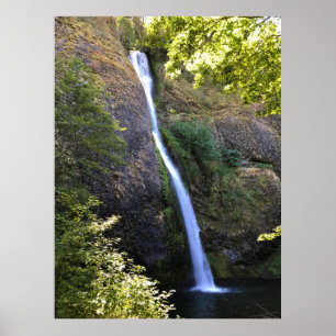Póster Cataratas de cola de caballo, Oregón