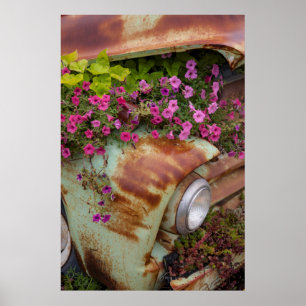 Póster Cataratas de Columbia