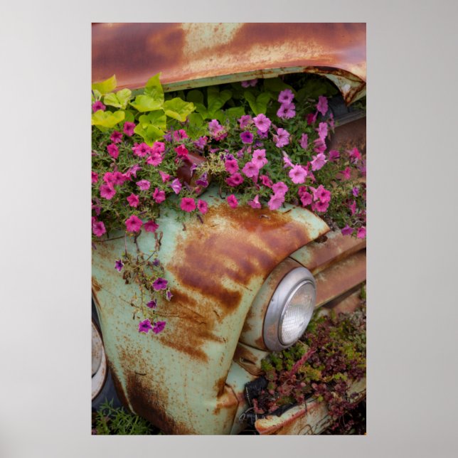 Póster Cataratas de Columbia (Frente)