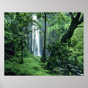 Póster Cataratas de Hanakapiai a lo largo de la costa de