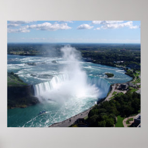 Póster Cataratas de herradura, doncella de la niagra "Cat