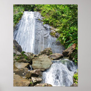 Póster Cataratas de la coca del yunque