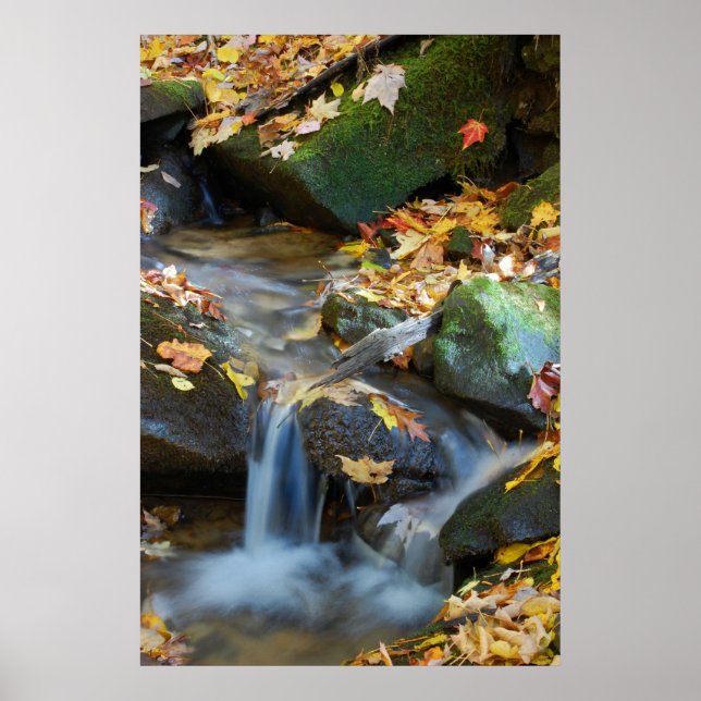 Póster Cataratas de Teskawata (Frente)