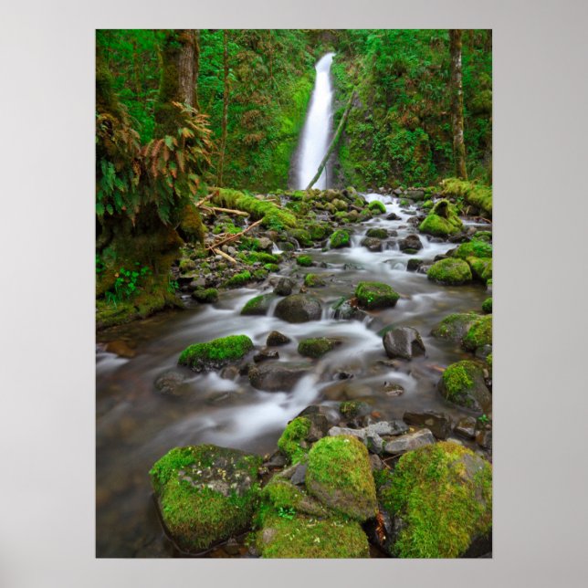 Póster Cataratas del arroyo, desfiladero del río Columbia (Frente)