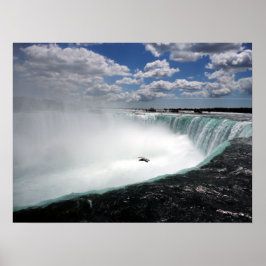Póster Cataratas del Niágara con gaviota