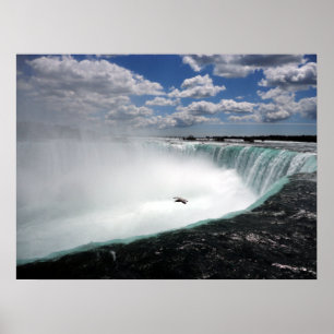 Póster Cataratas del Niágara con gaviota