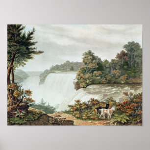 Póster Cataratas del Niágara, de la isla de Goat