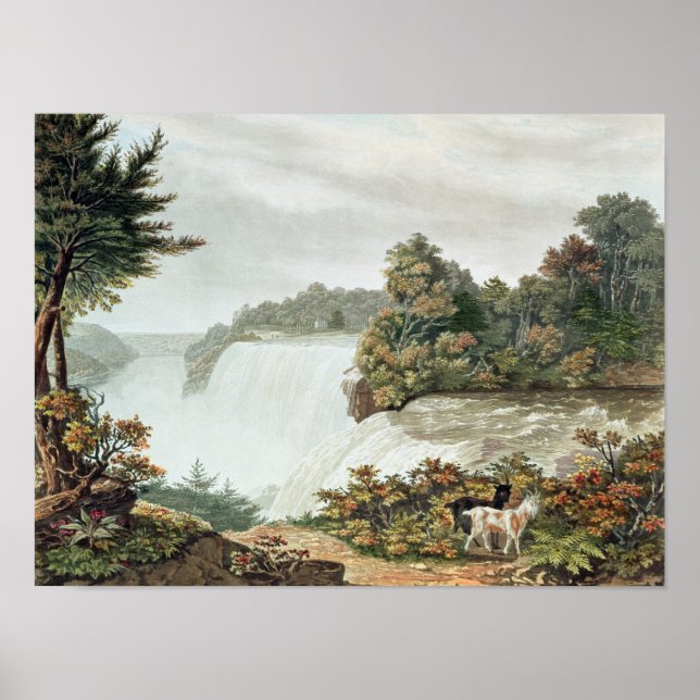 Póster Cataratas del Niágara, de la isla de Goat (Frente)