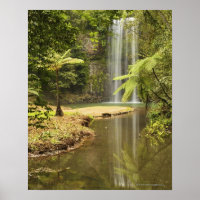 Cataratas Millaa Millaa, Atherton Tableland