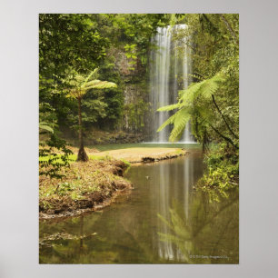 Póster Cataratas Millaa Millaa, Atherton Tableland