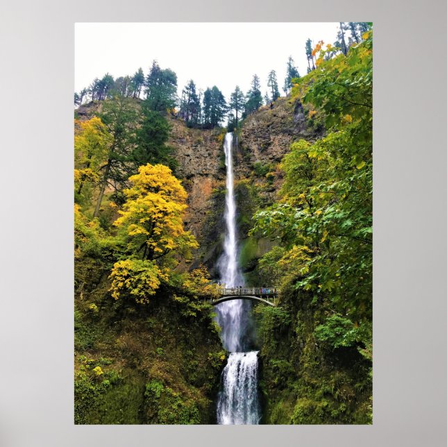 Póster Cataratas Multnomah, desfiladero del río Columbia, (Frente)