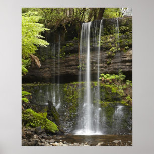 Póster Cataratas Russell, Parque Nacional Mount Field,