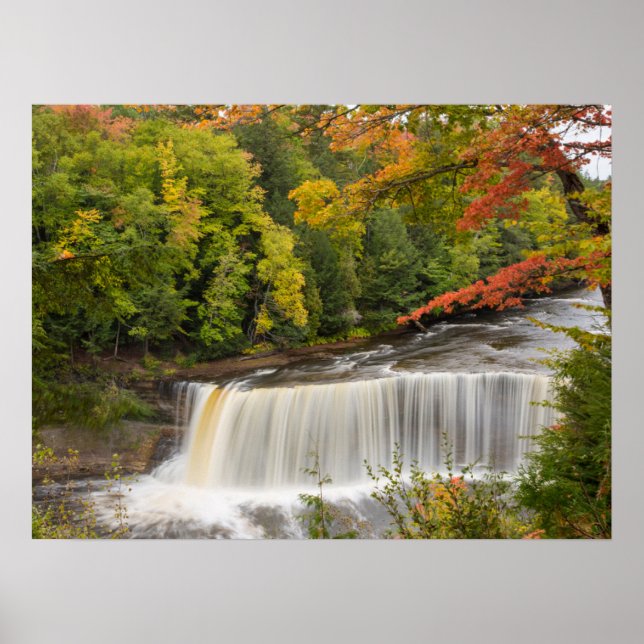 Póster Cataratas Tahquamenon en Otoño (Frente)