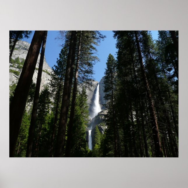 Póster Cataratas Yosemite y paisajes de Woods fotográfico (Frente)