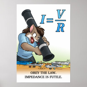 Póster Catástrofe de la universidad - poster - la ley de