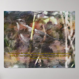 Póster Catbird con la cita de Vivek Wadwha