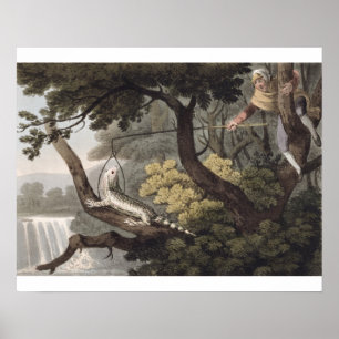 Póster Catcher del lagarto mexicano, grabado por Matthew