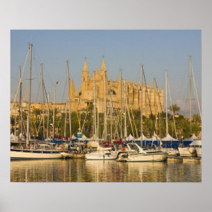 Póster Catedral y marina, Palma, Mallorca, España 2
