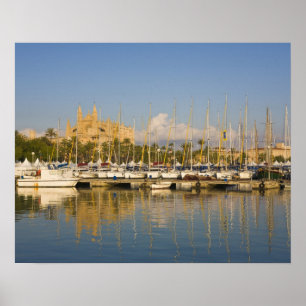 Póster Catedral y puerto deportivo, Palma, Mallorca, Espa