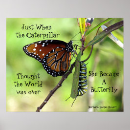 Póster Caterpillar / Butterfly Quote Poster