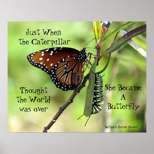 Póster Caterpillar / Butterfly Quote Poster (Frente)