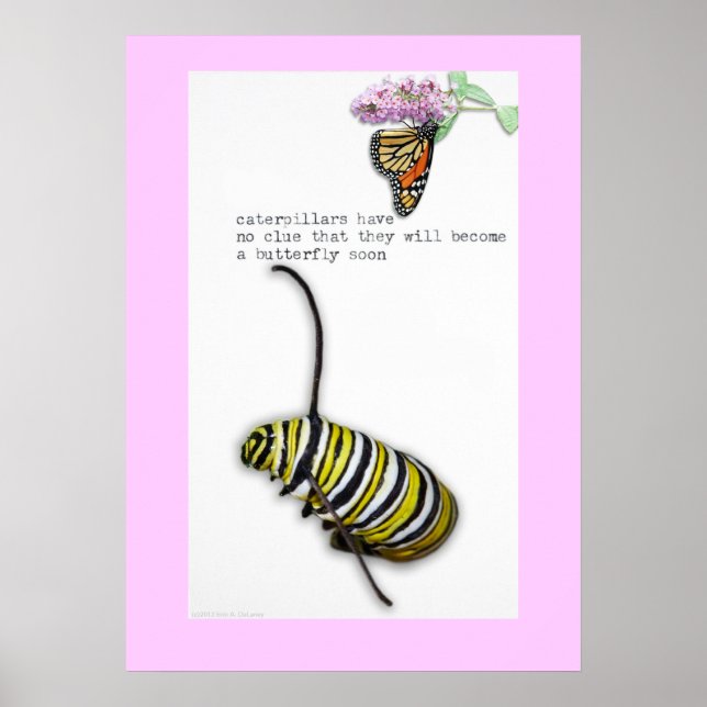 Póster Caterpillar Haiku poster (Frente)