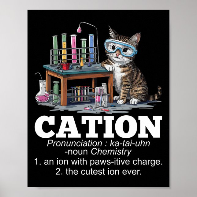 Póster Cation Chemistry Teacher Cat Pun Fun (Frente)