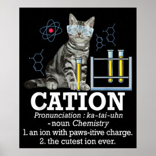 Póster Cation Fun Chemistry Humor Science Teacher Cat Pun