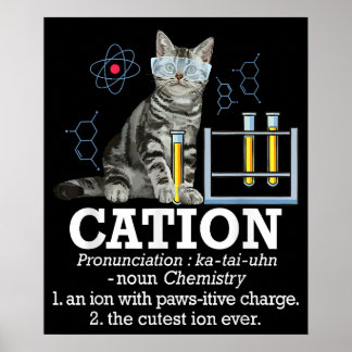 Póster Cation Fun Chemistry Humor Science Teacher Cat Pun