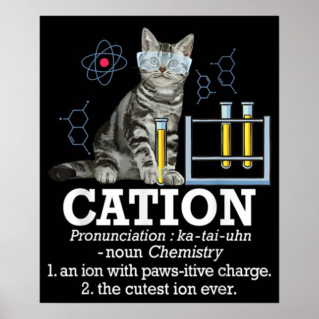 Póster Cation Fun Chemistry Humor Science Teacher Cat Pun (Frente)