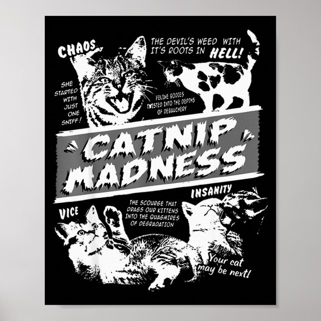 Póster Catnip Madness Cute Kitten Funny Cat Pet Humor  (Frente)