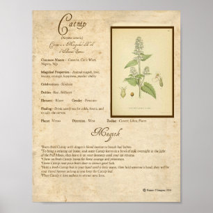 PÓSTER CATNIP MAGICK HERB